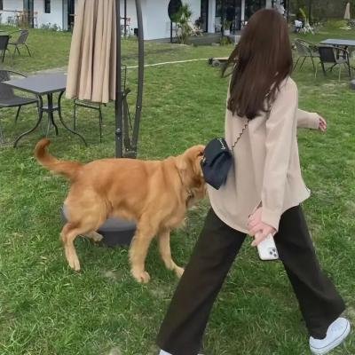 违规